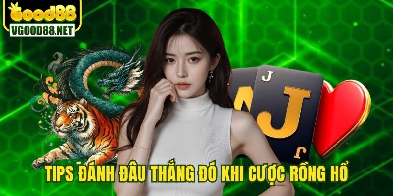 rong-ho-truc-tuyen-meo