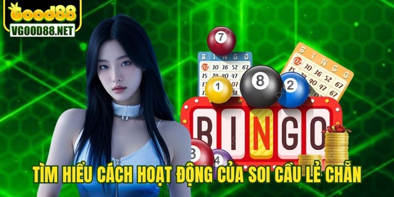 soi-cau-chan-le-tim-hieu