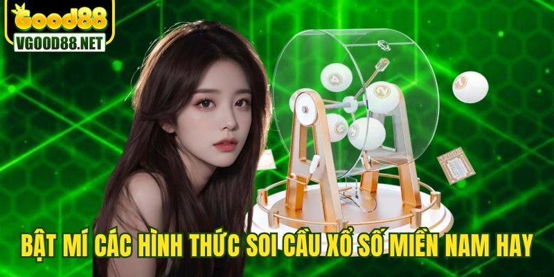 soi-cau-mien-nam-cac-hinh-thuc