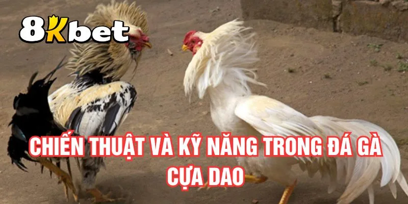 chien-thuat-va-ky-nang-trong-da-ga-cua-dao
