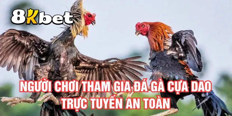 nguoi-choi-tham-gia-da-ga-cua-dao-truc-tuyen-an-toan